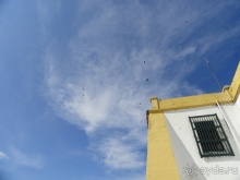 фото Боготы