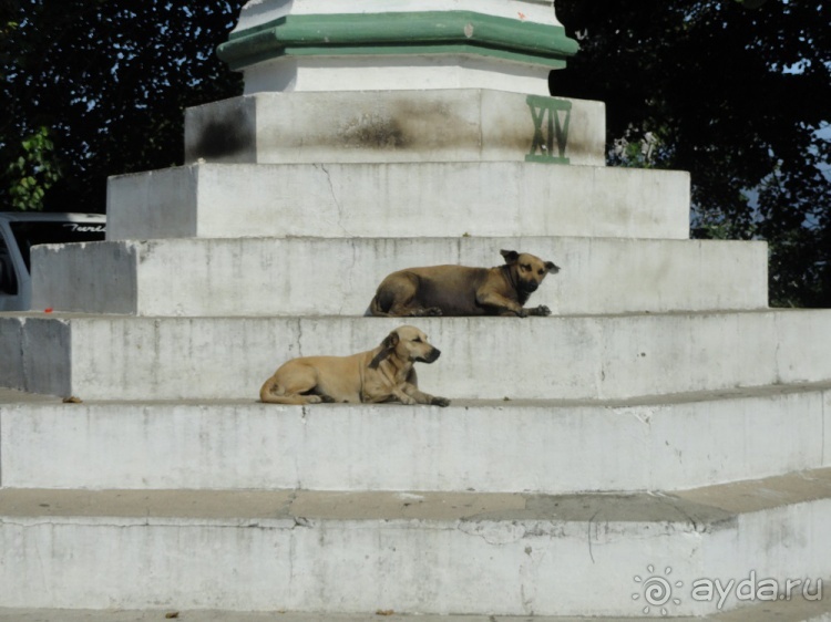 фото Боготы