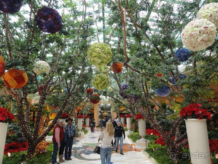 Альбом отзыва "Отель Venetian, Лас Вегас. В гондоле по второму этажу."