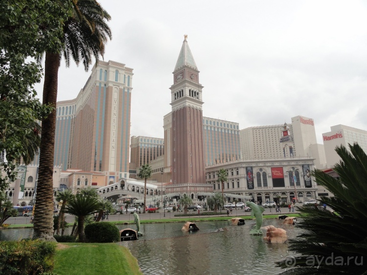 Отель Venetian, Лас Вегас. В гондоле по второму этажу.