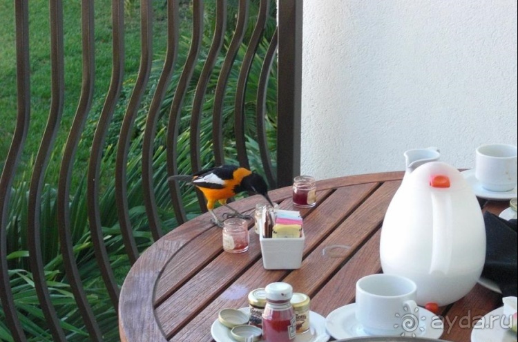 Один счастливый остров.