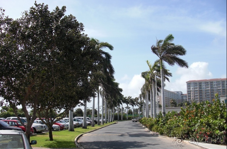 Один счастливый остров.