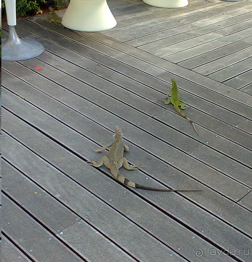 Один счастливый остров.