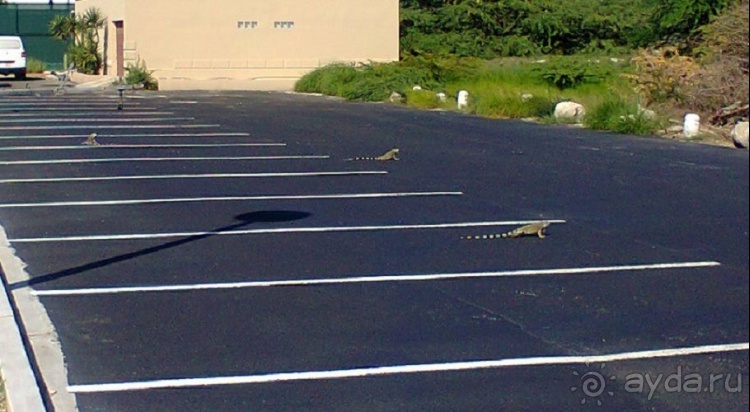 Один счастливый остров.