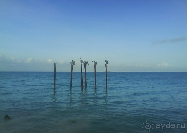 Один счастливый остров.