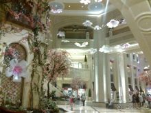 Лас Вегас: покер на Стрипе