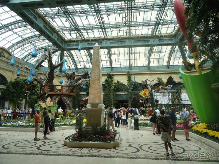 Лас Вегас: покер на Стрипе