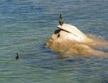По северу Сардинии