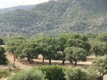 По северу Сардинии