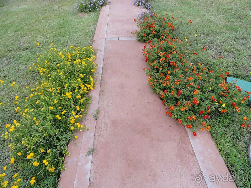 По северу Сардинии