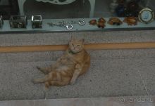 По северу Сардинии