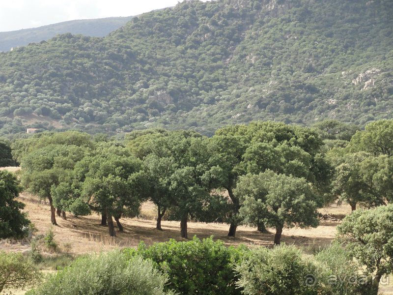 По северу Сардинии