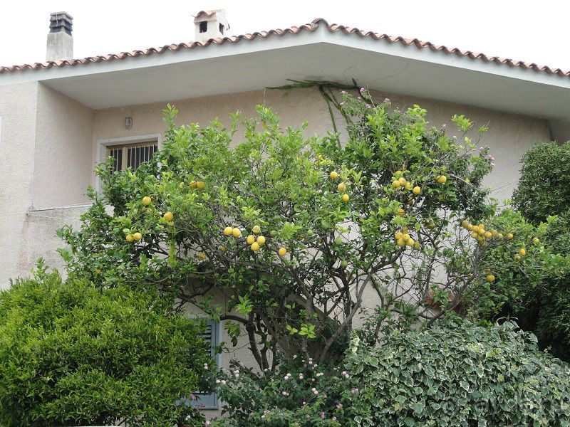 По северу Сардинии