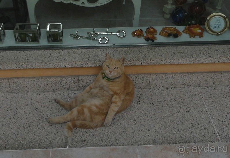 По северу Сардинии