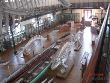 Монте Карло: красиво жить не запретишь!