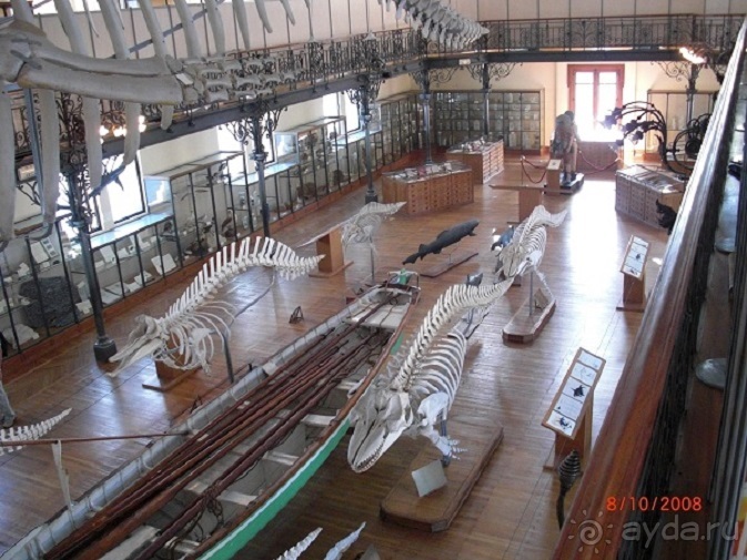 Монте Карло: красиво жить не запретишь!