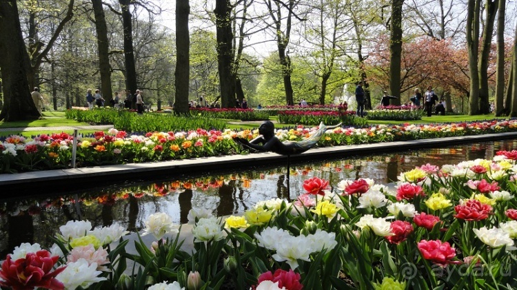 Парк цветов Keukenhof