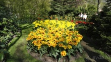 Парк цветов Keukenhof