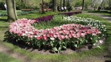 Парк цветов Keukenhof