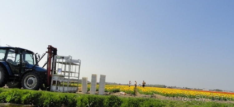 Парк цветов Keukenhof