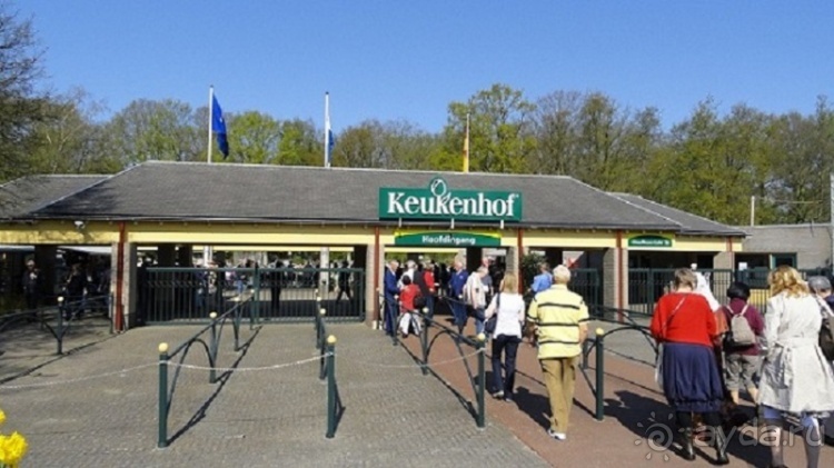 Парк цветов Keukenhof