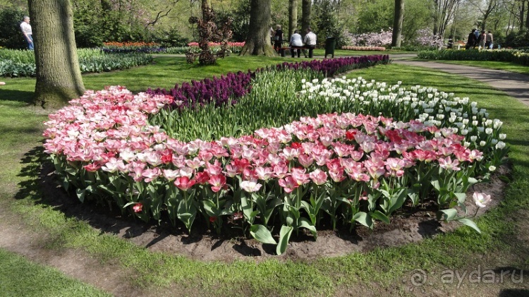Парк цветов Keukenhof