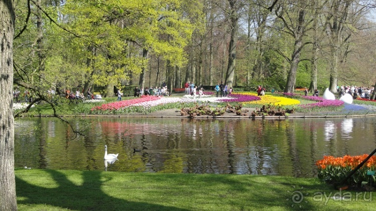 Парк цветов Keukenhof