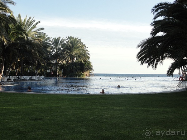 Альбом отзыва "Когда хочешь, чтобы лето не кончалось."