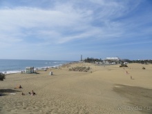 Альбом отзыва "Когда хочешь, чтобы лето не кончалось."