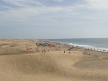 Альбом отзыва "Когда хочешь, чтобы лето не кончалось."