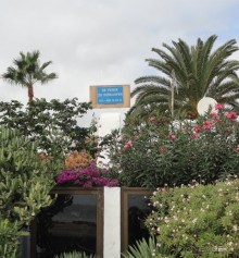 Альбом отзыва "Когда хочешь, чтобы лето не кончалось."