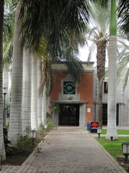 Альбом отзыва "Когда хочешь, чтобы лето не кончалось."