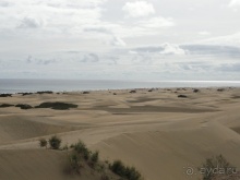 Альбом отзыва "Когда хочешь, чтобы лето не кончалось."