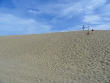 Альбом отзыва "Когда хочешь, чтобы лето не кончалось."