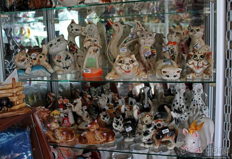 Здоровье и красота — Миргород-курорт