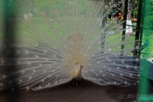 Здоровье и красота — Миргород-курорт