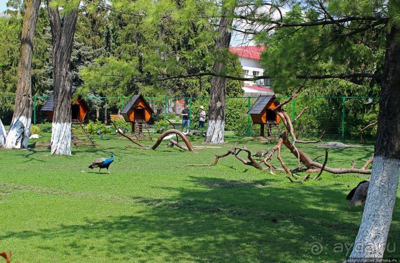 Здоровье и красота — Миргород-курорт