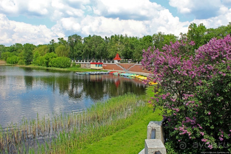 Здоровье и красота — Миргород-курорт