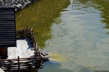 Альбом отзыва "Здоровье и красота — Миргород-курорт"