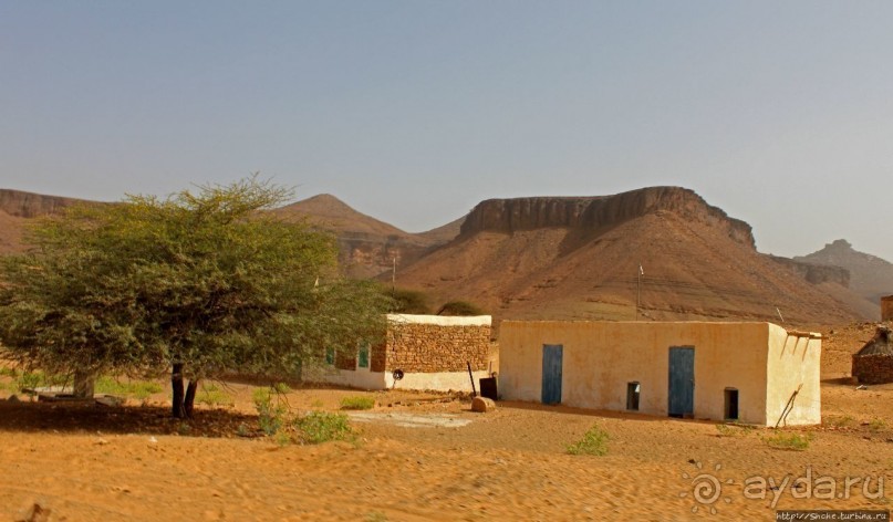 Альбом отзыва "Счастье жить возле оазиса"