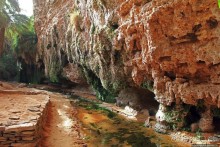 Счастье жить возле оазиса