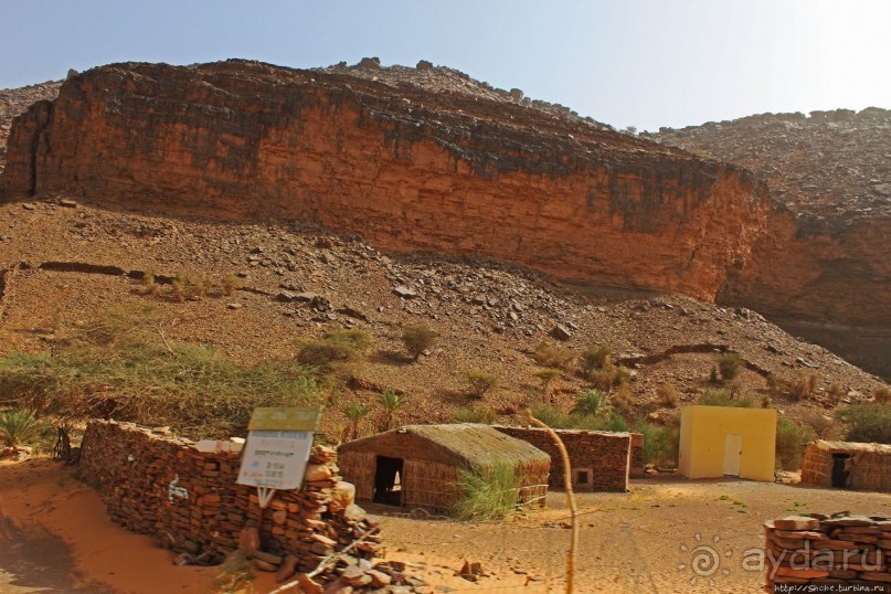 Альбом отзыва "Счастье жить возле оазиса"