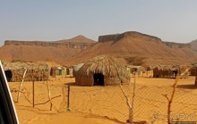 Альбом отзыва "Счастье жить возле оазиса"