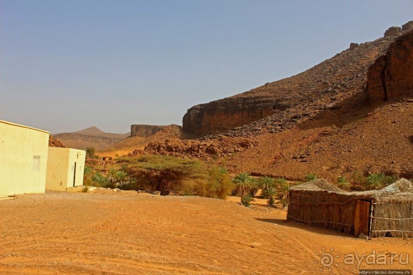 Альбом отзыва "Счастье жить возле оазиса"