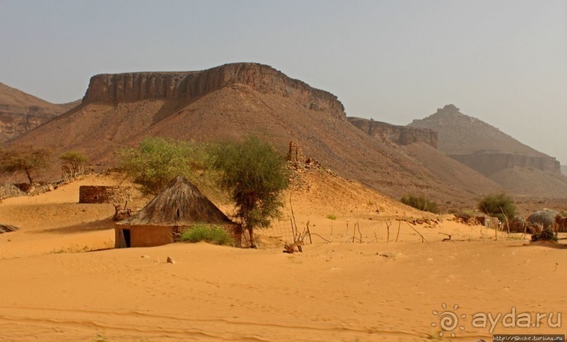 Альбом отзыва "Счастье жить возле оазиса"