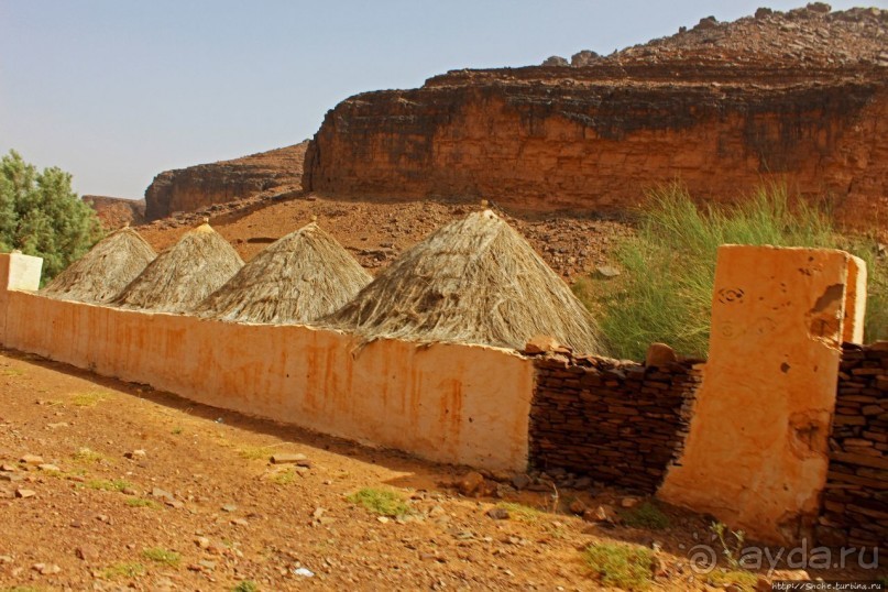 Альбом отзыва "Счастье жить возле оазиса"