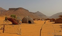 Альбом отзыва "Счастье жить возле оазиса"