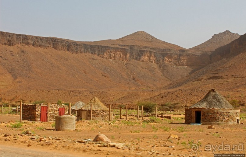 Альбом отзыва "Счастье жить возле оазиса"