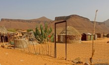 Альбом отзыва "Счастье жить возле оазиса"