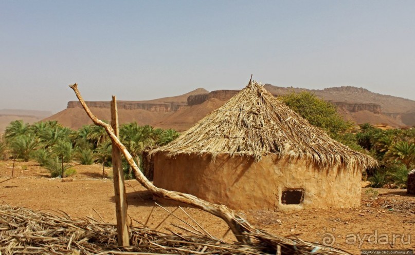 Альбом отзыва "Счастье жить возле оазиса"
